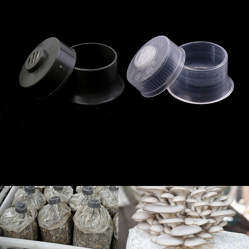 20pcs Mushroom Spawn Grow Bag  - Mushroom Spawn Bag 评论和价格