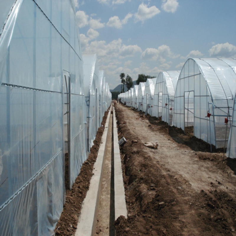 0.04~0.12mm Agricultural Green - Agriculture Farming Vegetables 评论和价格