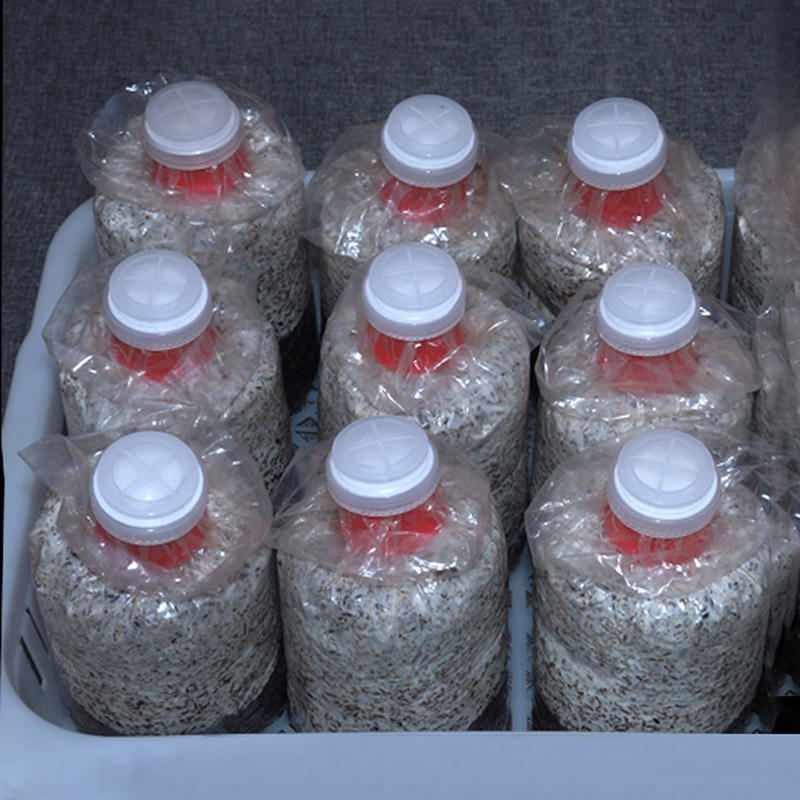 10Pcs Mushroom Grow Bag Sealer - Mushroom Spawn Bag 评论和价格