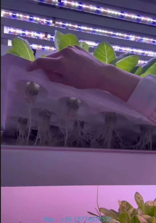 f Greenhouse Agricultural Equi - Agriculture Farming Vegetables 评论和价格