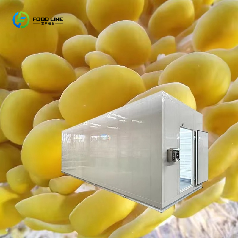 Smart Mushroom Growing Capsule - Agriculture Farming New Technology 评论和价格
