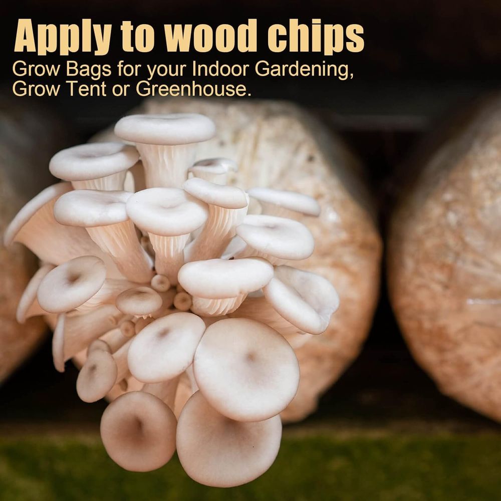 Mushroom Spawn Bags, 20Pcs Lar - Mushroom Spawn Bag 评论和价格