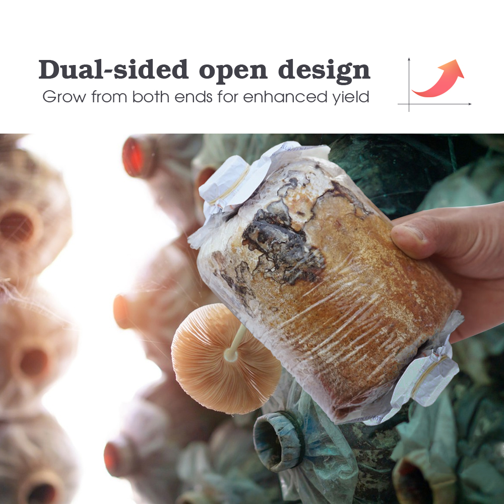 0.03mm Thick PE Mushroom Culti - Mushroom Spawn Bag 评论和价格
