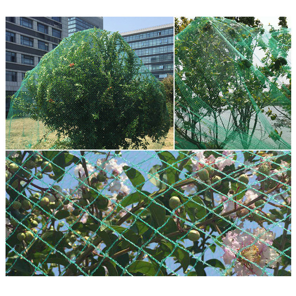 15M Anti Bird Net Green Fruit  - Agriculture Farming Vegetables 评论和价格