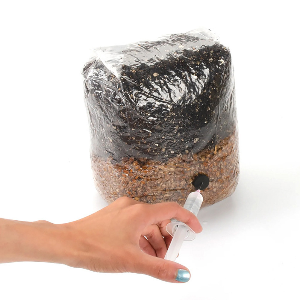 20Pcs Mushroom Growing Bags Cl - Mushroom Spawn Bag 评论和价格