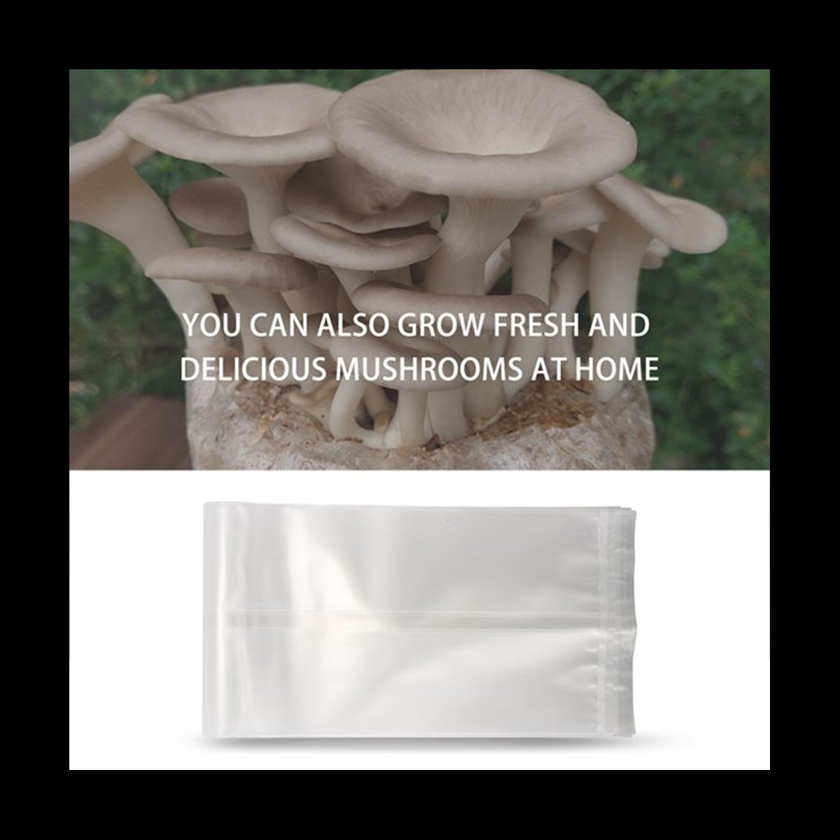 A78I 50 Count Mushroom Bags/Mu - Mushroom Spawn Bag 评论和价格