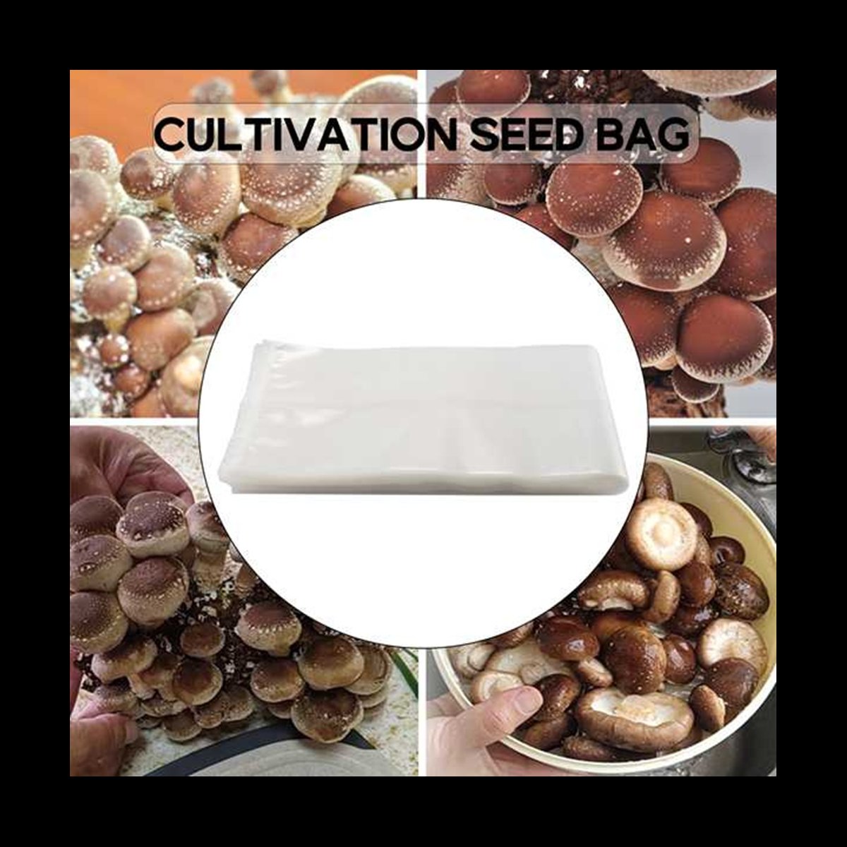 A78I 50 Count Mushroom Bags/Mu - Mushroom Spawn Bag 评论和价格